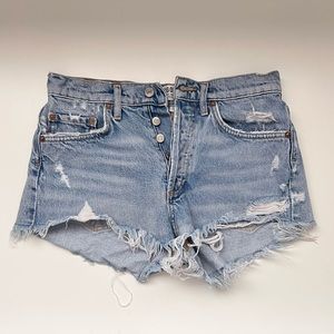 Agolde Parker Vintage Cut Off Short